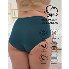 ALYA UNDERWEAR Kadın Büyük Beden Külot Battal Full Brief (8xl, 9xl, 10xl) 5 Farklı Renk 1 Pakette