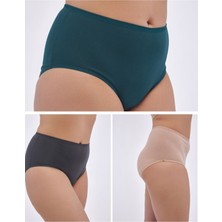 ALYA UNDERWEAR Kadın Büyük Beden Külot Battal Full Brief (8xl, 9xl, 10xl) 5 Farklı Renk 1 Pakette