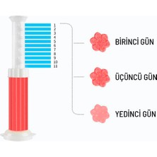 Tineke Wc Tuvalet Temizleme Jeli Klozet Jel Blok Koku Giderici Desenli Klozet Jeli Kırmızı 1 Adet