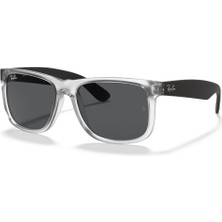 Ray-Ban Güneş Gözlüğü RB4165 55 651287