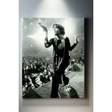 Suala Rolling Stones Tablosu-1776