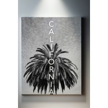 Suala California Tablo-1427