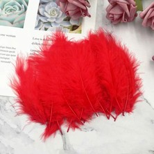 Kuzey Oyuncak 100 Adet Kırmızı Kuş Tüyü Decor Vıp Red Bırd Feather Kırmızı Şeffaf Balon Tüyü Kırmızı Süsleme Tüyü