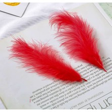 Kuzey Oyuncak 100 Adet Kırmızı Kuş Tüyü Decor Vıp Red Bırd Feather Kırmızı Şeffaf Balon Tüyü Kırmızı Süsleme Tüyü