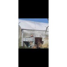 Sera Sis Gölgelik Tozu Serasis %30 Sıcaklığı Düşürür Sera/ Çatı/saç  3/4yağmurda Zor Çıkan Çıkmayan Gölge Tozu