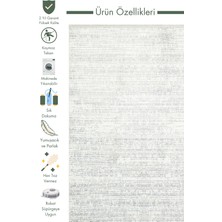 Carpetdocia Smooth Yıkanabilir Kaymaz Parlak Oturma Odası Salon Koridor Ince Dokuma Modern Halı 101 L.grey Xw