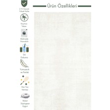 Carpetdocia Smooth Yıkanabilir Kaymaz Parlak Oturma Odası Salon Koridor Ince Dokuma Modern Halı 109 Cream Beıge