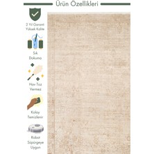 Carpetdocia Elegant Özel Işıltılı Yüksek Kaliteli Sık Dokuma Salon Oturma Odası Koridor Modern Halı 31CREMIVORXW