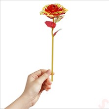 Süsle Bebek ve Parti Sonsuzluk Gülü, 25 cm x 8cm - Kırmızı