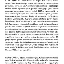 Açlık - Knut Hamsun