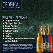 La Via Alkolsüz Şampanya Limon & Tropikal Aromalı Simli 2x750 ml