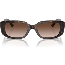 Bvlgari Güneş Gözlüğü Bvlgari BV8259 504/1353