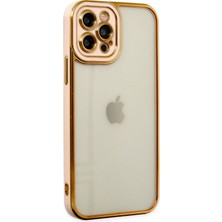 Denza Case Apple iPhone 12 Pro Kılıf Kenarları Renkli Kamera Korumalı Kapak - Rose