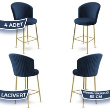 Canisa Alte Serisi 4 Adet Babyface Kumaş 65 cm Gold Kaplama Ayaklı Bar Sandalyesi