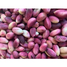 Maraş Gurme Taze Antep Fıstığı 1 kg