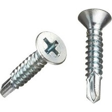 Norm 4,8X32 Yhb Matkap Uçlu Vida - Beyaz - DİN7504P - 100 Adet