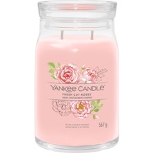 Yankee Candle Fresh Cut Roses Signature Büyük Mum