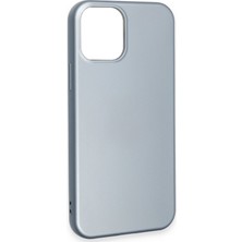 Denza Case Apple iPhone 12 Kılıf Içi Kadife Lansman Kapak - Sky Blue