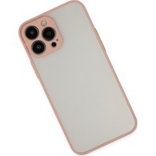 Denza Case Apple iPhone 15 Pro Kılıf Kenarları Renkli Mat Kapak - Pembe