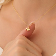 Nox Jewelry 14 Ayar Altın Mikron Kaplama Gümüş Minimal Aslan Kolye – Güç, Cesaret ve Koruyucu Sembol