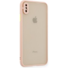 Denza Case Apple iPhone Xs Kılıf Kenarları Renkli Mat Kapak - Pembe