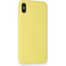 Denza Case Apple iPhone Xs Max Kılıf Içi Kadife Lansman Kapak - Mat Sarı