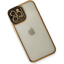 Denza Case Apple iPhone 12 Pro Kılıf Kenarları Renkli Kamera Korumalı Kapak - Siyah