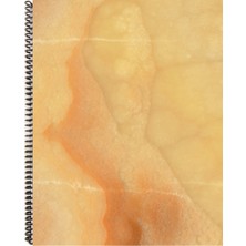 Fly Color A4 P.p Kapak 96 Yaprak Çizgili Desenli Spiralli Defter