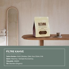 Begon Nord Kivu Nitelikli Filtre Kahve (Öğütülmüş) Tanışma Paketi 250G x 2 Adet