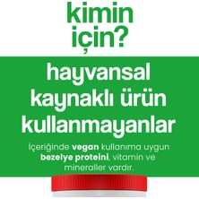 Hellobari Formula Protegreen | Vegan | Bezelye Proteini - Vitamin Mineral | Kurabiye Aromalı | 28 Porsiyon