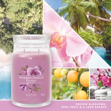 Yankee Candle Wild Orchid Signature Büyük Mum