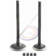 Monero Subap Takımı [tırnaklı] [dq] 80CC Scooter