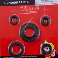 Monero Keçe Takımı [5 'li Set] Ybr