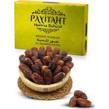 Payitaht Hurma Medine Mejdul (Medioul) Medjoul Hurması Iri Boy Şekersiz Taze – Yeni Mahsul- 10 kg MEJDUL10 kg