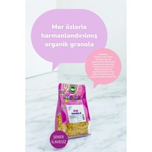 Organik Granola 350gr (Mor Özlerle Harmanlanmış)