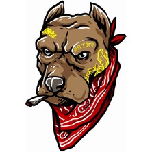 Sticker Usta Mafya Bandanalı Köpek Araba Oto Motosiklet Karavan Sticker 00450