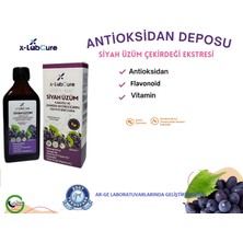 X-Labcure Siyah Üzüm Kabuğu ve Çekirdek Ekstresi Takviye Edici Gıda X6 Resveratrol,quercetin, Helal Sertifika