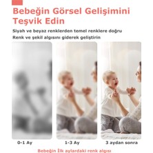 Schmülzer (0-18 Ay) Yenidoğan Baby Visual - Yüksek Kontrastlı Görsel Uyarımlı - Ilk Zeka  Gelişim  Kartları