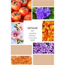 İxora K234 Pretty Kadın Parfüm 100 ml EDP