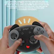 Unbrand Ipega PG-SW068 Kablosuz Oyun Denetleyicisi Nintendo Switch Için Altı Eksenli Jiroskop Nfc Titreşimli Bluetooth Joystick - Beyaz/mavi (Yurt Dışından)