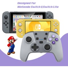 Unbrand JYS-NS207 Nintendo Switch Pro Için Bluetooth Oyun Denetleyicisi Kablosuz Oyun Joystick - Gri (Yurt Dışından)