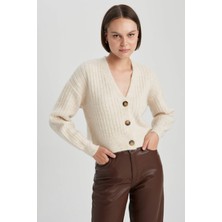 DeFacto Regular Fit V Yaka Triko Hırka R1389AZ23WN