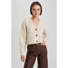DeFacto Regular Fit V Yaka Triko Hırka R1389AZ23WN