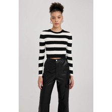 DeFacto Coool Slim Fit Çizgili Bisiklet Yaka Triko Kazak