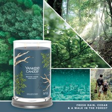 Yankee Candle Bayside Cedar Tumbler Büyük Mum
