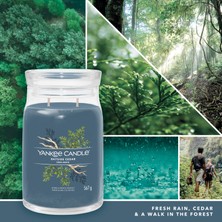 Yankee Candle Bayside Cedar Signature Büyük Mum