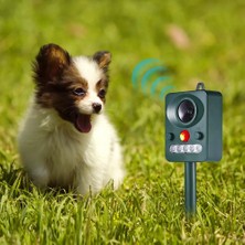 Enjoy Outdoor Güneş Enerjili Ultrasonik Hayvan Kovucu Cihaz Açık Hava Flaş Sürücüsü Vahşı Hayvan Kuş Köpek Kedi Yılan Fare Korkutucu Bahçe Kovucuları (Yurt Dışından)