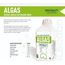 Algodon Chem Algas