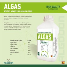 Algodon Chem Algas