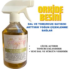 Karaoğlan Tarım Orkide Besini Vitamini Orkide Bakım Ürünü Gelişim Hızlandırıcı Sprey Sıvı Bitki Besini 500ML